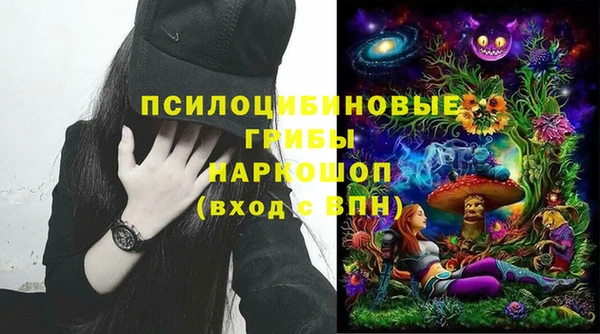 Альфа ПВП Арсеньев
