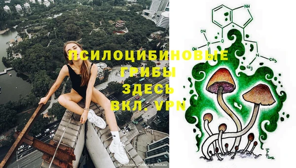 a pvp Аркадак