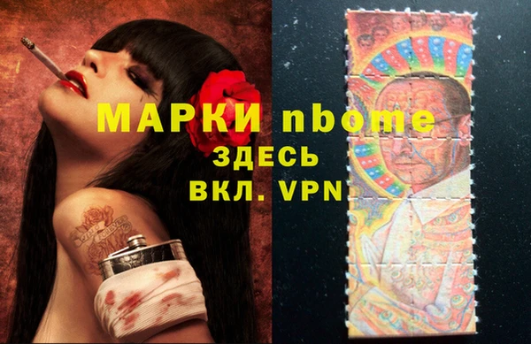 spice Гатчина